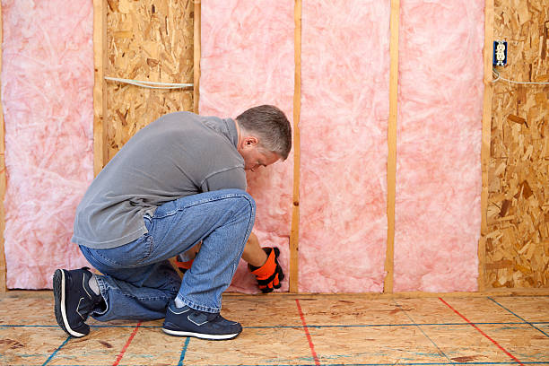 Best Home Insulation Services  in Warren, MI