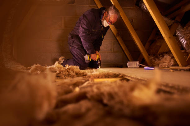 Best Garage Insulation Installation  in Warren, MI
